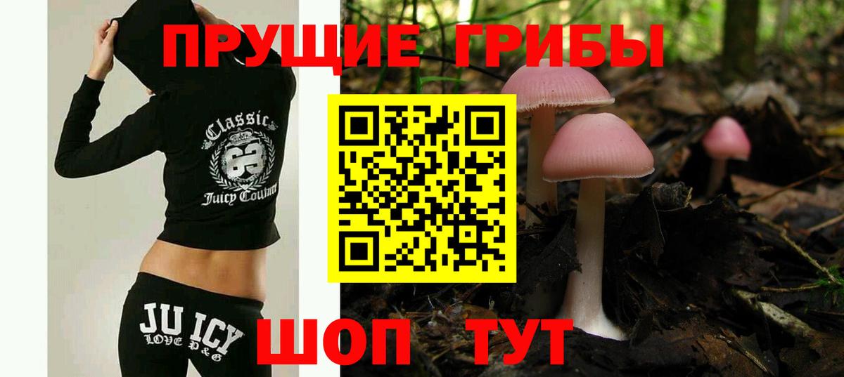 Томск  Галлюциногенные грибы ЛСД  Вход с VPN  Псилоцибиновые грибы мухоморы 